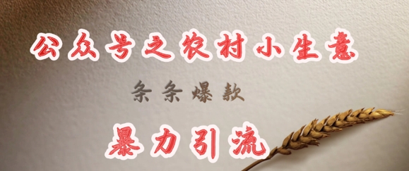 deepseek写农村小项目，条条爆款，暴力引流 - 副业联盟-副业联盟