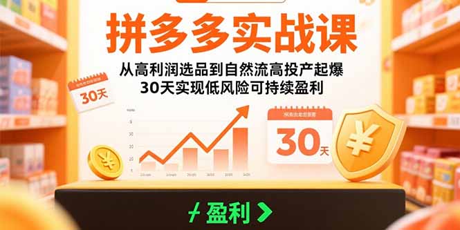 拼多多实战课：从高利润选品到自然流高投产起爆 30天实现低风险可持续盈利|副业联盟