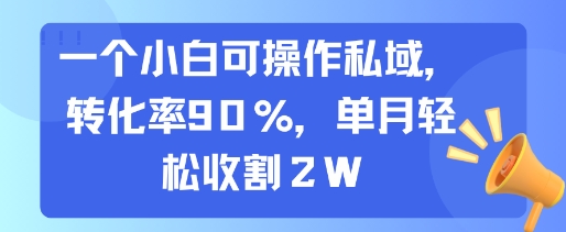 一个小白可操作私域，转化率90%，单月轻松收割2W - 副业联盟-副业联盟