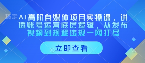 AI高阶自媒体项目实操课，讲透账号运营底层逻辑，从发布视频到规避违规一网打尽 - 副业联盟-副业联盟
