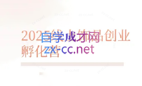 舒老师·珠宝创业实战指南 - 副业联盟-副业联盟