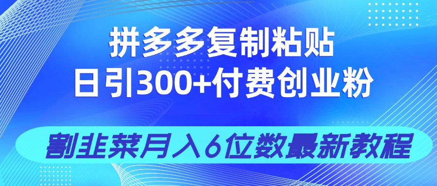 拼多多复制粘贴日引300+付费创业粉，割韭菜月入6位数最新教程！ - 副业联盟-副业联盟
