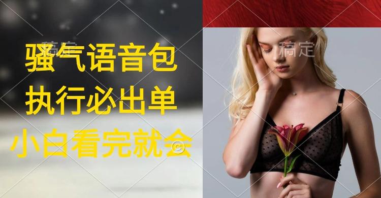 (9589期)执行就出单，日入2000+，超火骚气语音包，小白看完课程就能马上实操 - 副业联盟-副业联盟