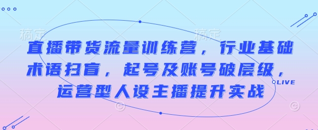 直播带货流量训练营，行业基础术语扫盲，起号及账号破层级，运营型人设主播提升实战 - 副业联盟-副业联盟