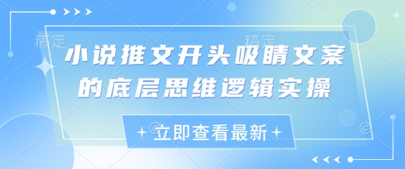 小说推文开头吸睛文案的底层思维逻辑实操 - 副业联盟-副业联盟