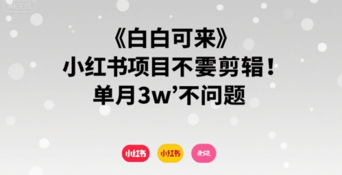 小白可来 小红书项目不需要剪辑 单月3w不是问题 - 副业联盟-副业联盟