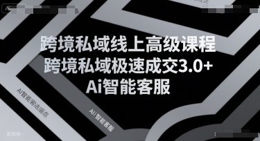 跨境私域线上高级课程，跨境私域极速成交3.0+Ai智能客服 - 副业联盟-副业联盟