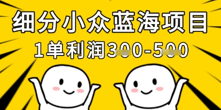 细分小众蓝海项目，一单利润3张，每月收入稳定过1w+ - 副业联盟-副业联盟