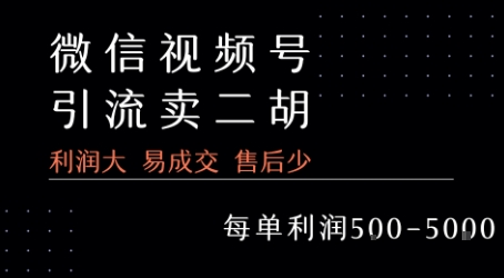 视频号卖二胡教程，利润大 易成交 售后少，一单利润5张+ - 副业联盟-副业联盟