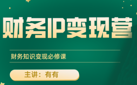 有有老师·财务IP变现营，财务知识变现必修课 - 副业联盟-副业联盟