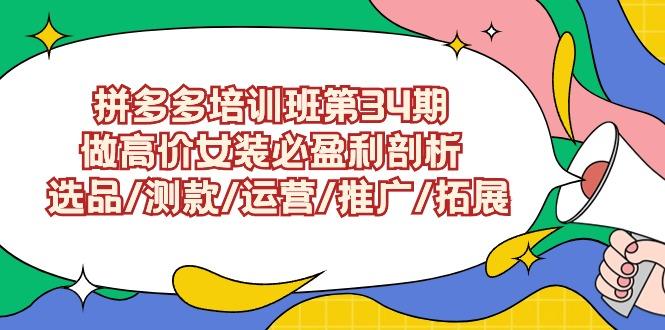 (9333期)拼多多培训班第34期：做高价女装必盈利剖析 选品/测款/运营/推广/拓展 - 副业联盟-副业联盟