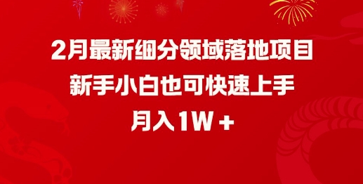 2月最新细分领域落地项目，新手小白也可快速上手，月入1W - 副业联盟-副业联盟