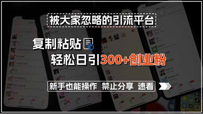 被大家忽略的引流平台，复制粘贴轻松日引300+创业粉，新手也能操作，禁... - 副业联盟-副业联盟