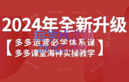 海神老师·拼多多运营必学体系课 - 副业联盟-副业联盟