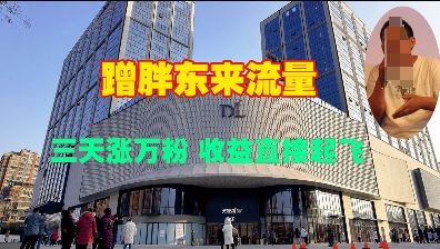 蹭胖东来流量，三天涨万粉，收益直接起飞 - 副业联盟-副业联盟