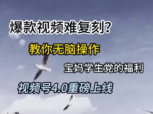 视频号4.0重磅上线，爆款视频难复刻？教你无脑操作宝妈学生党的福利【揭秘】 - 副业联盟-副业联盟