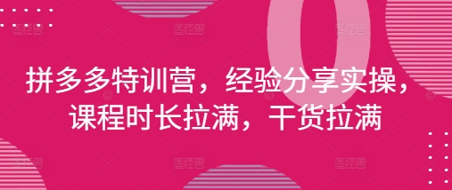 拼多多特训营，经验分享实操，课程时长拉满，干货拉满(更新25年4月) - 副业联盟-副业联盟