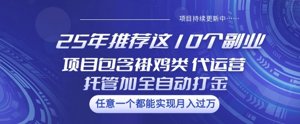 25年推荐这10个副业项目包含褂鸡类、代运营托管类、全自动打金类【揭秘】 - 副业联盟-副业联盟