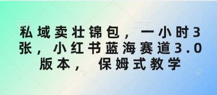 私域卖壮锦包，一小时3张，小红书蓝海赛道3.0版本， 保姆式教学 - 副业联盟-副业联盟