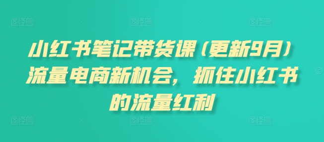 小红书笔记带货课(更新25年3月)流量电商新机会，抓住小红书的流量红利 - 副业联盟-副业联盟