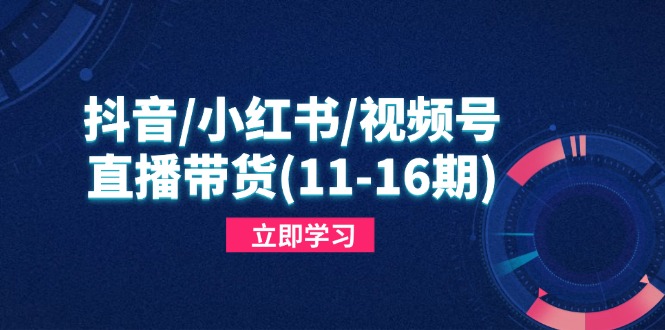 抖音/小红书/视频号/直播带货(11-16期 - 副业联盟-副业联盟