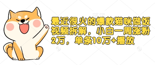 最近很火的爆款猫咪做饭视频拆解，小白一周涨粉2万，单条10万+播放(附保姆级教程) - 副业联盟-副业联盟