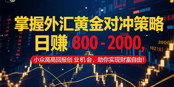 掌握外汇黄金对冲策略，日赚 800 - 2000，小众高回报创业机会，助你实... - 副业联盟-副业联盟