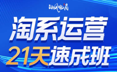 淘系运营21天速成班(更新9月) - 副业联盟-副业联盟