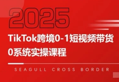大亿老师·TikTok跨境0-1短视频带货 - 副业联盟-副业联盟