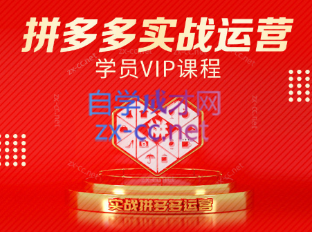 推易电商·拼多多实战运营课(更新2025月) - 副业联盟-副业联盟