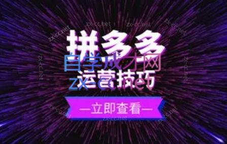 力辛电商·拼多多强付费店群玩法 - 副业联盟-副业联盟