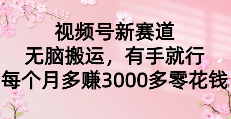 (9278期)视频号新赛道，无脑搬运，有手就行，每个月多赚3000多零花钱 - 副业联盟-副业联盟