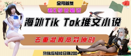 海外tiktok小说推文暴力项目，高停留率，高转化率，上手后一天搞顿饭钱不是问题 - 副业联盟-副业联盟