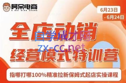 阿呆电商·全店动销经营模式特训营(线下录音+思维导图) - 副业联盟-副业联盟