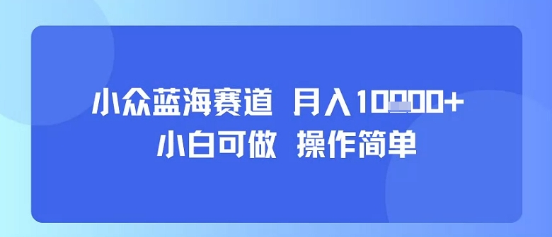小众蓝海赛道，小白可做，操作简单，每天30分钟，月入1W+ - 副业联盟-副业联盟