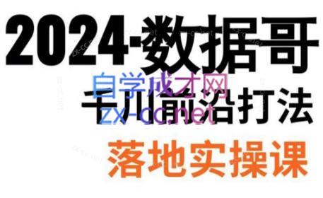 数据哥·2024年千川前沿打法落地实操课 - 副业联盟-副业联盟