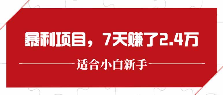 最新暴利项目，每单收益轻松在300以上，7天赚了2.4万 - 副业联盟-副业联盟