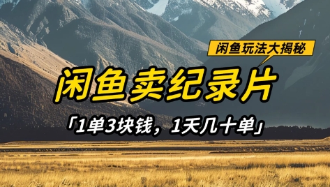 闲鱼卖纪录片1单3块钱，1天几十单，项目稳定有潜力 - 副业联盟-副业联盟
