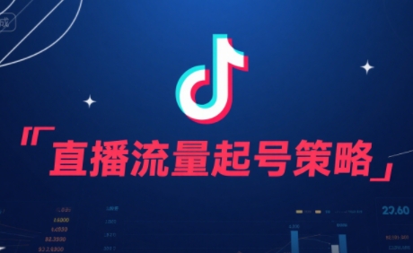 尼采老师·直播流量起号实战课 - 副业联盟-副业联盟