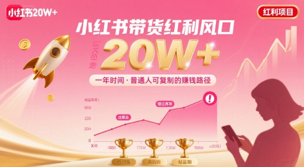 一年时间靠小红书带货项目年入20w+，最不能错的大红利项目 - 副业联盟-副业联盟