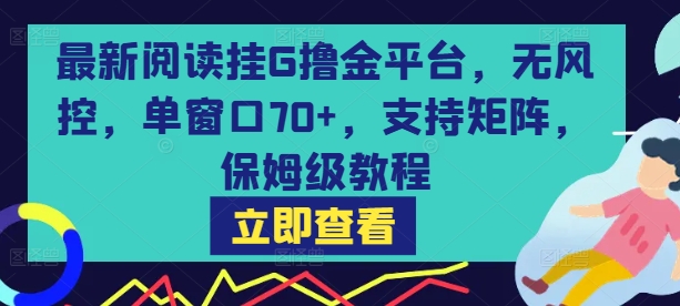 最新阅读挂G撸金平台，无风控，单窗口70+，支持矩阵，保姆级教程【揭秘】 - 副业联盟-副业联盟