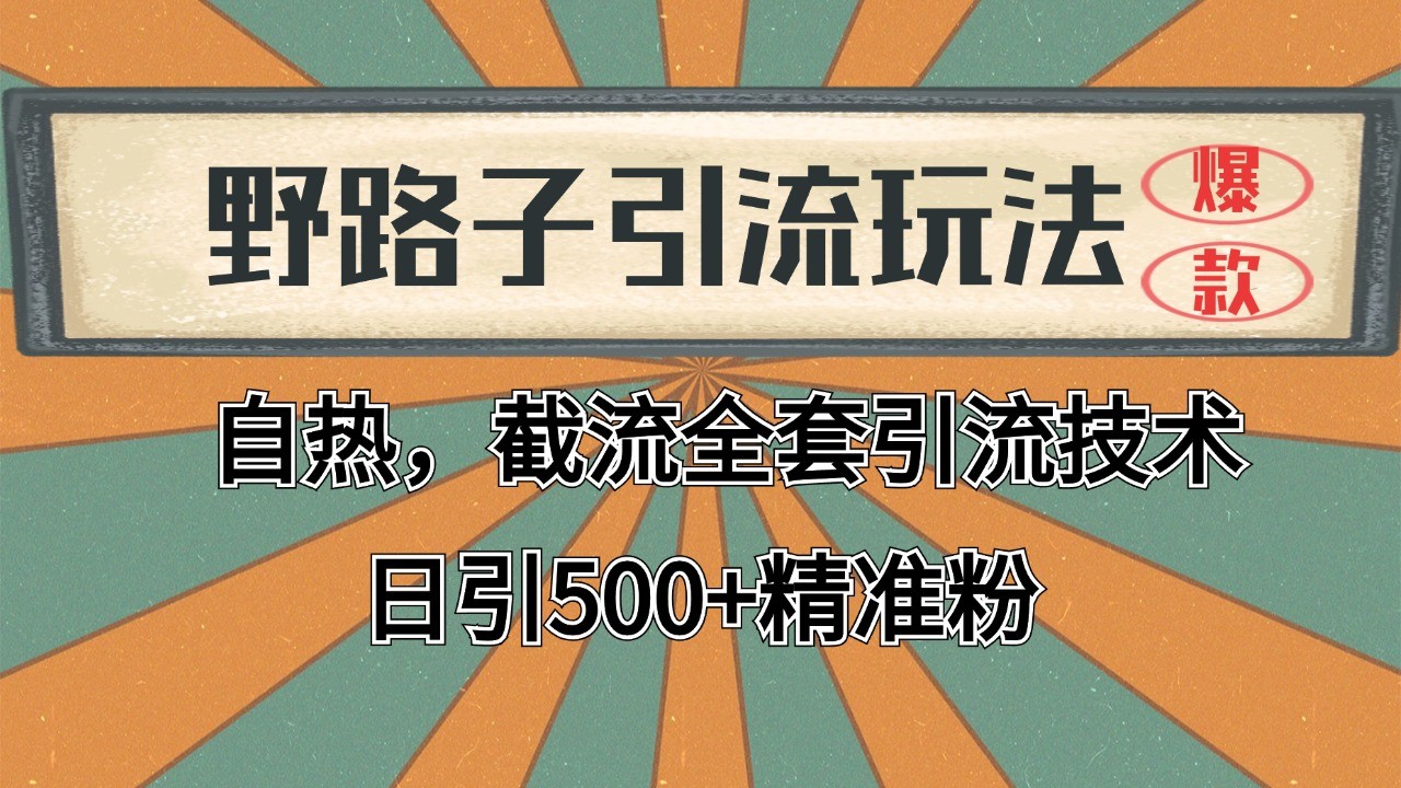 2024首发野路子引流玩法截流自热全平台打法，全自动引流【日引2000+精准客户】 - 副业联盟-副业联盟