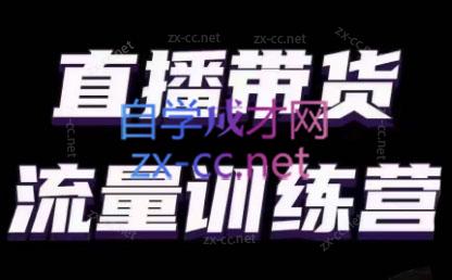 婉婉·直播带货课程系列合集(更新8月) - 副业联盟-副业联盟