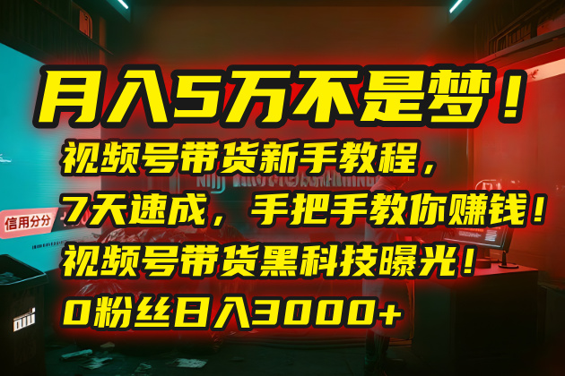 月入5万不是梦！视频号带货新手教程，7天速成，手把手教你赚钱！视频号... - 副业联盟-副业联盟
