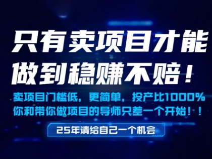 只有卖项目才能做到稳挣不赔，门槛低，更简单，你也可以年入百个W【揭秘】 - 副业联盟-副业联盟
