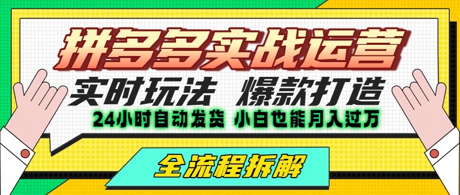 拼多多最新实战运营高投产：长久稳定项目，单店利润一天三位数 - 副业联盟-副业联盟