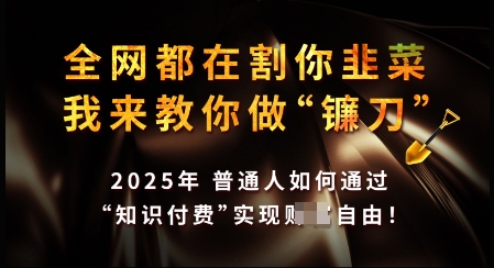 知识付费如何做到月入过W+，2025我来教你做“镰刀”【揭秘】 - 副业联盟-副业联盟