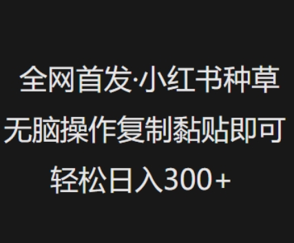 全网首发，小红书种草无脑操作，复制黏贴即可，轻松日入3张 - 副业联盟-副业联盟