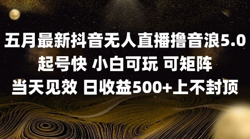 2025五月最新无人直播撸音浪单日产出5张+实操教程【揭秘】 - 副业联盟-副业联盟
