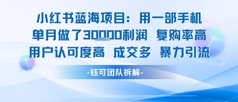 小红书蓝海项目，一部手机单月做了3W利润，小白也能月入过1W用户认可度高成交多 - 副业联盟-副业联盟